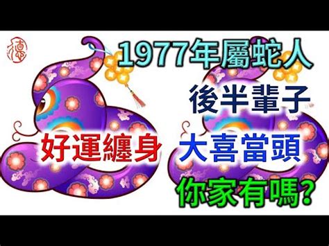 1977生肖五行